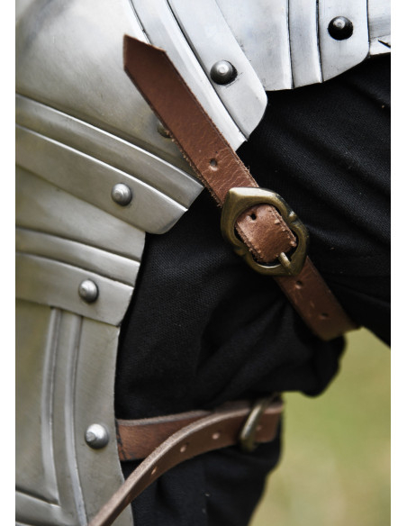 Coppia di gambe gotiche medievali...