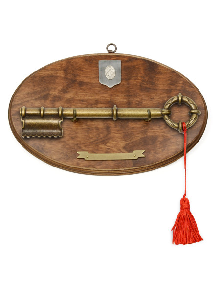 Panoplia con la chiave della porta...