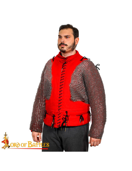 Spalle e maniche in rete con anelli... Spalle e maniche in rete con anelli...