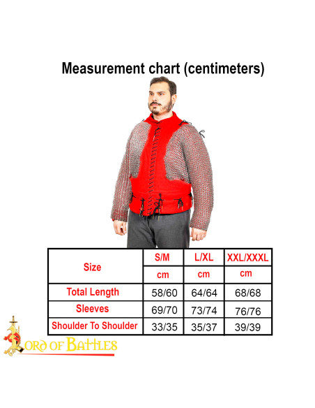 Spalle e maniche in rete con anelli... Spalle e maniche in rete con anelli...