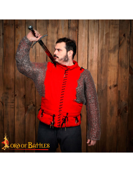 Spalle e maniche in rete con anelli... Spalle e maniche in rete con anelli...