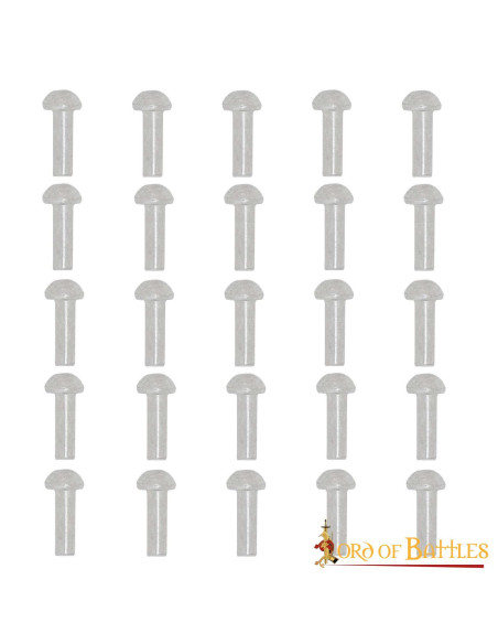 Confezione da 25 rivetti in acciaio...