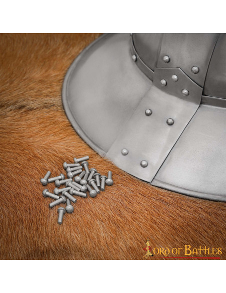 Confezione da 25 rivetti in acciaio...