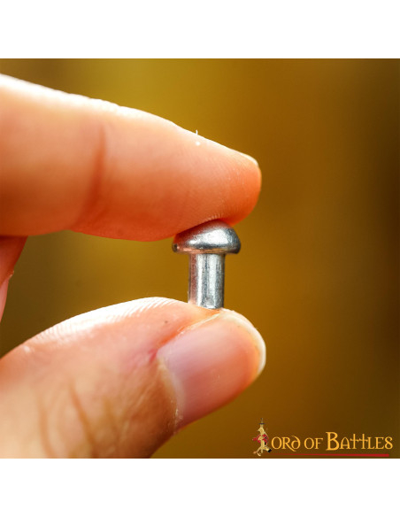 Confezione da 100 rivetti in acciaio...