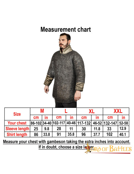 Cotta di maglia in acciaio inox...