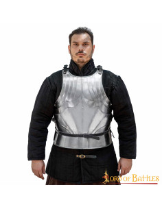 Corazza gotica medievale in acciaio, finitura lucida. 2