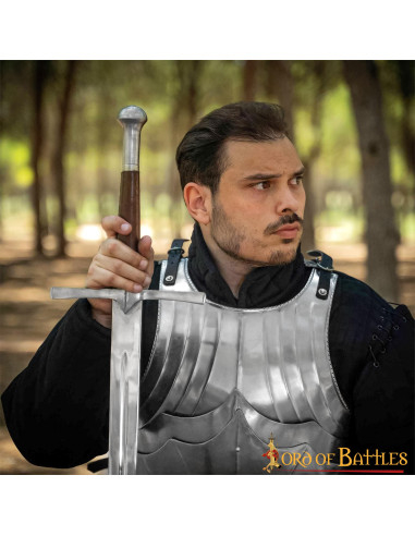 Corazza gotica medievale in acciaio, finitura lucida. ⚔️ Negozio Medievale