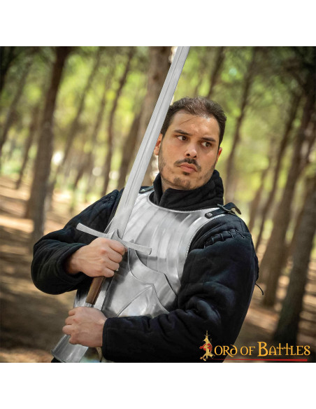 Corazza gotica medievale in acciaio,...