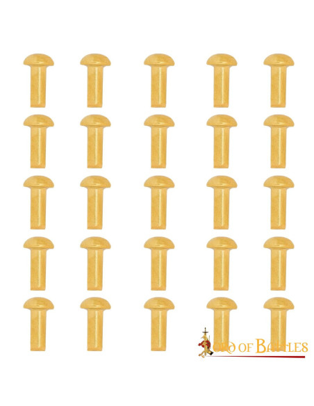 Confezione da 25 rivetti in ottone...