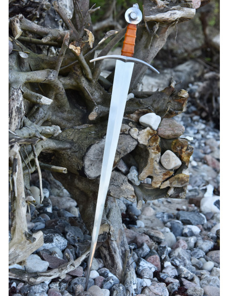 Conte di Nieuwerkerke che arma la...