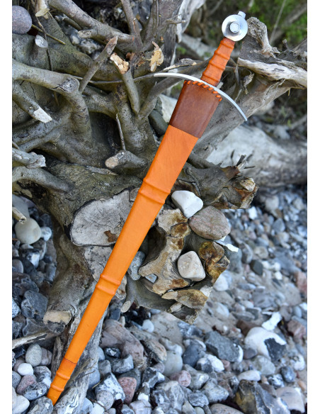 Conte di Nieuwerkerke che arma la...