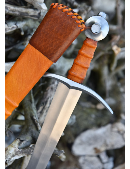 Conte di Nieuwerkerke che arma la...