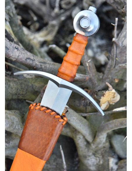 Conte di Nieuwerkerke che arma la...