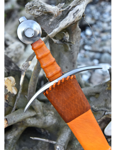 Conte di Nieuwerkerke che arma la...