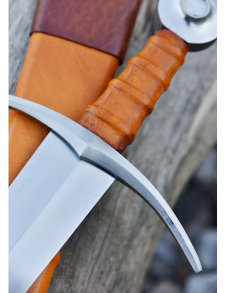 Conte di Nieuwerkerke che arma la...