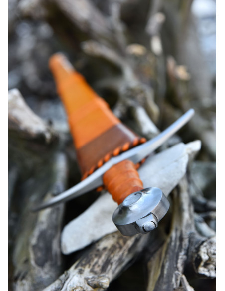 Conte di Nieuwerkerke che arma la...