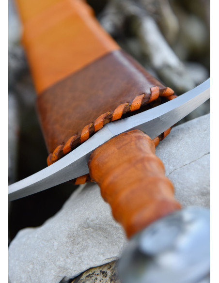 Conte di Nieuwerkerke che arma la...