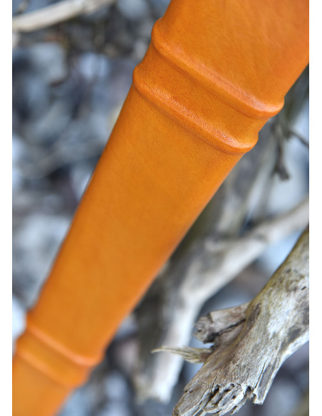 Conte di Nieuwerkerke che arma la...