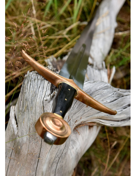 Spada medievale Aislinn con fodero,...