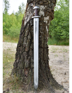 Spada vichinga Duna con fodero, X secolo 2