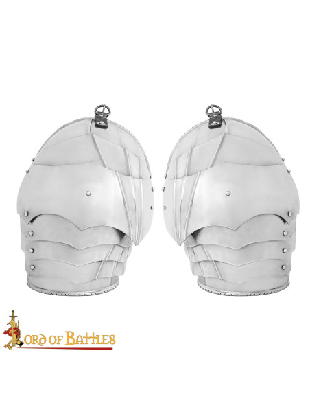 Spallacci in scaglie di armatura...