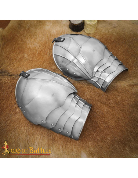 Spallacci in scaglie di armatura...