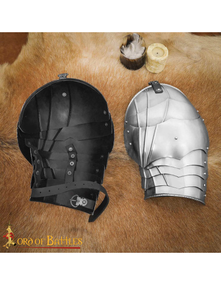 Spallacci in scaglie di armatura...