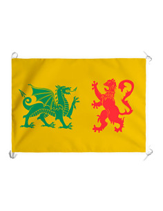 Stendardo medievale della dinastia reale Sueva della...