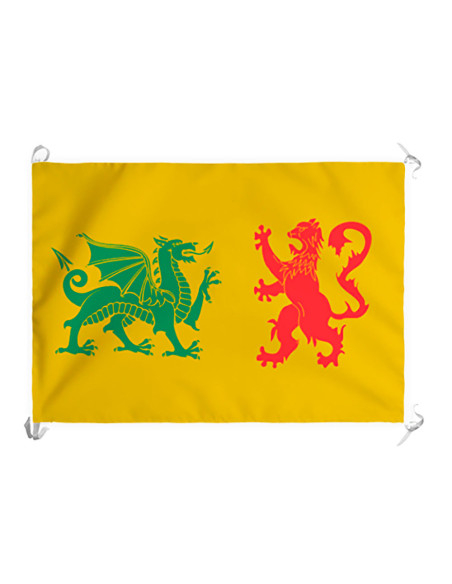 Stendardo medievale della dinastia...