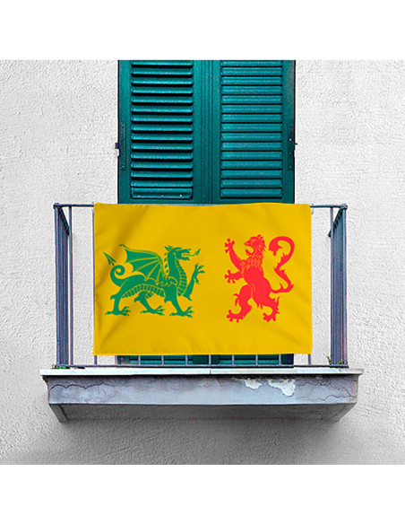 Stendardo medievale della dinastia...