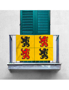 Stendardo medievale Hainaut, provincia del Regno del... 2