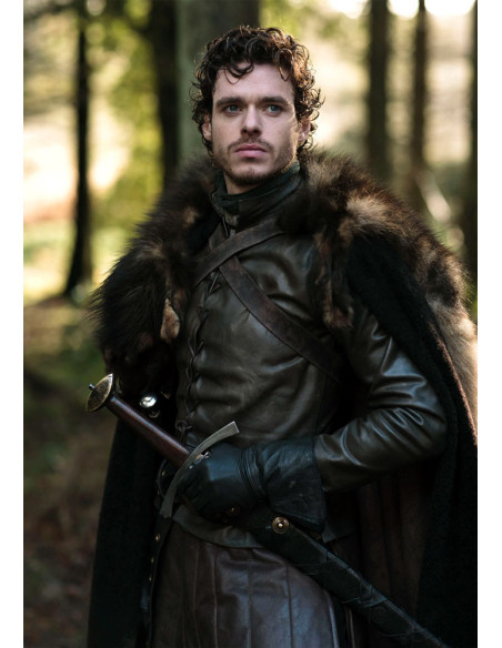Stendardo Robb Stark, Il Trono di...
