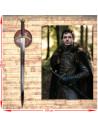 Banner del pacchetto + Spada di Rob Stark, Il Trono di Spade