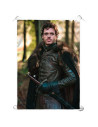 Stendardo Robb Stark, Il Trono di Spade (70x100 cm.)