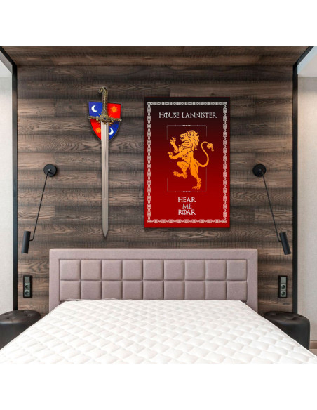 Pacchetto Banner + Spada Giuramento...