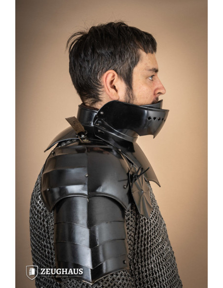 Pacchetto spallacci e armatura...