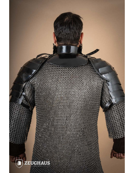 Pacchetto spallacci e armatura...