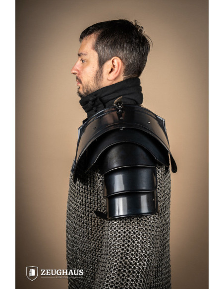 Coppia di spallacci del Guerriero...