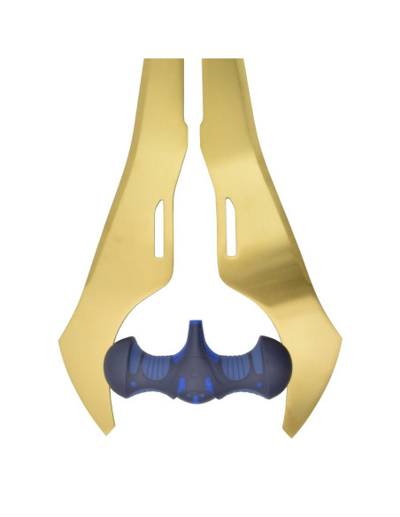Spada d'Oro dell'Energia dei...