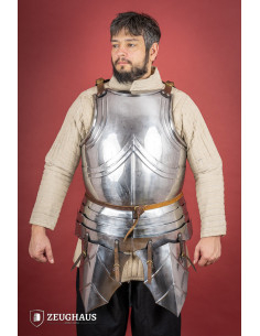 Pettorale medievale tedesco, XV secolo, acciaio lucido... 2