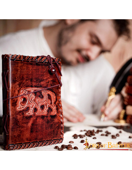 Diario medievale in pelle del Regno...