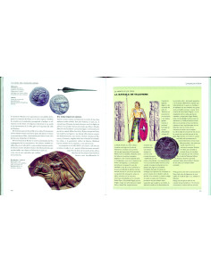 Libro dei Celti (in spagnolo) 2