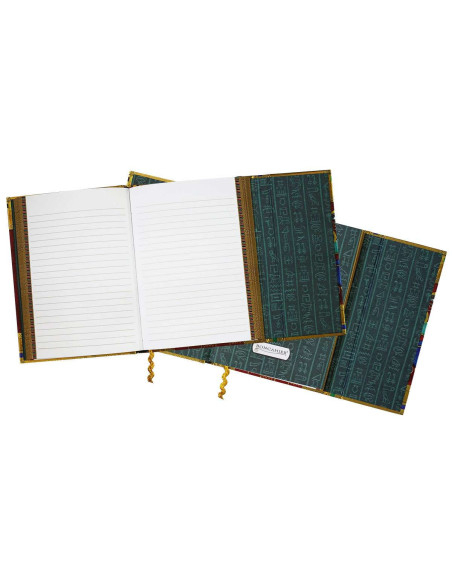 Diario con disegno di scarabeo...