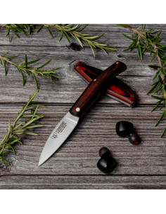 Coltello tascabile Cudeman 420 manico in acciaio rosso...