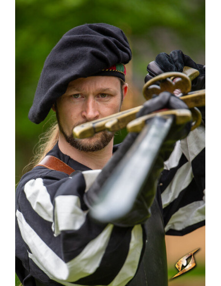 Parlota da menestrello medievale in...