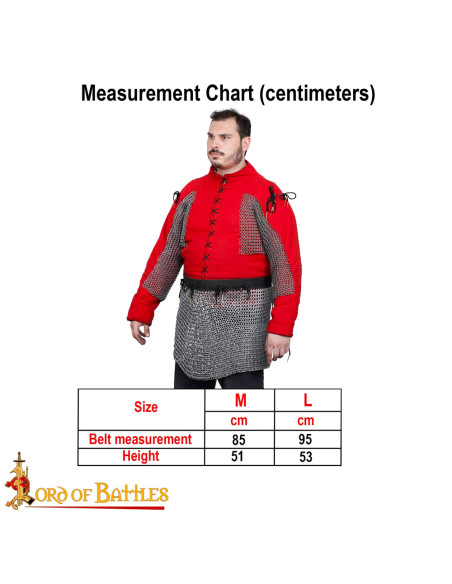 Gonna in cotta di maglia in acciaio...