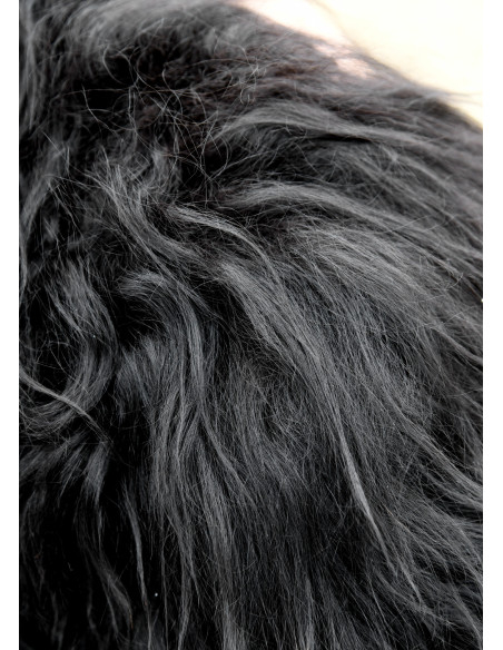 Spallaccio vichingo per bambini in...