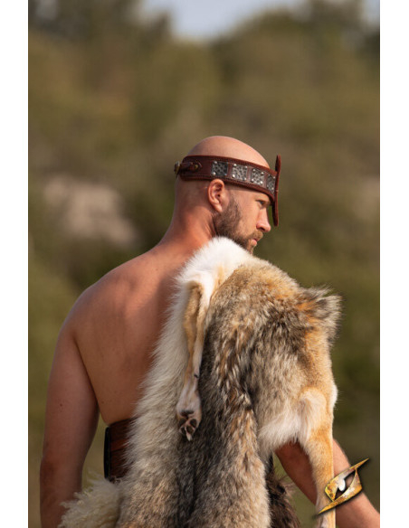 Fascia della Forza, con protezione...