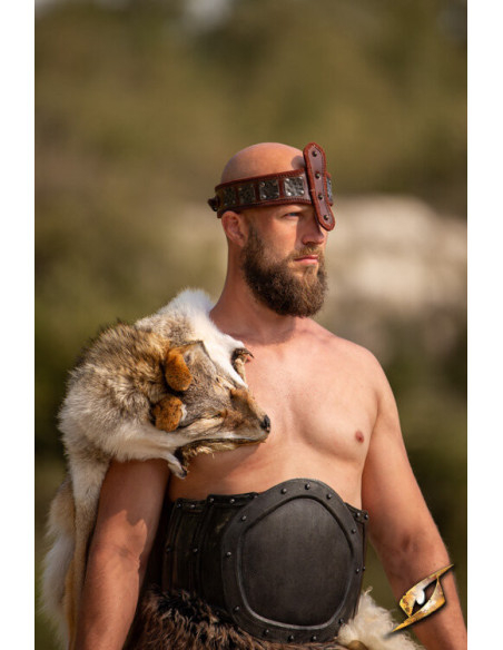 Fascia della Forza, con protezione...