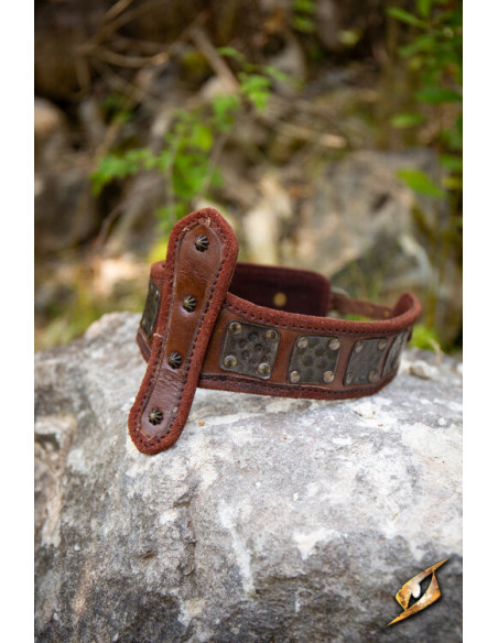 Fascia della Forza, con protezione...